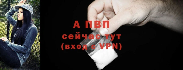 стафф Михайлов