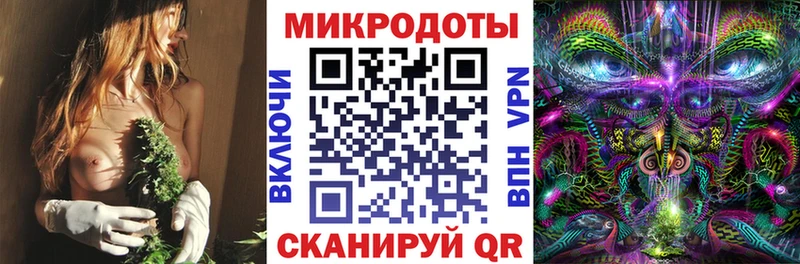 Псилоцибиновые грибы прущие грибы  кракен маркетплейс  Кирсанов  купить закладку 