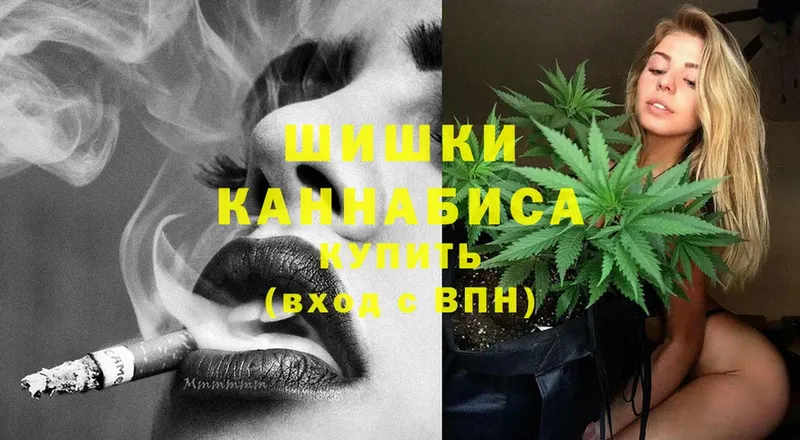 купить наркотик  Кирсанов  Канабис SATIVA & INDICA 